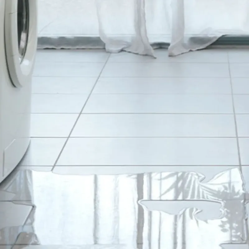 Appliance Leak Cleanup in Winslow, AZ