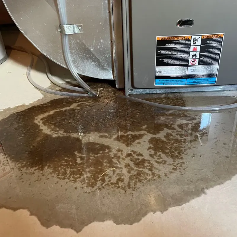 Pipe Burst and Leak Restoration in Winslow, AZ
